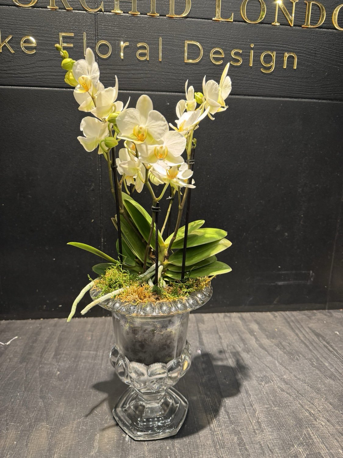 Crystal orchid, luxury floral arrangement by Dancing Orchid, North London florist