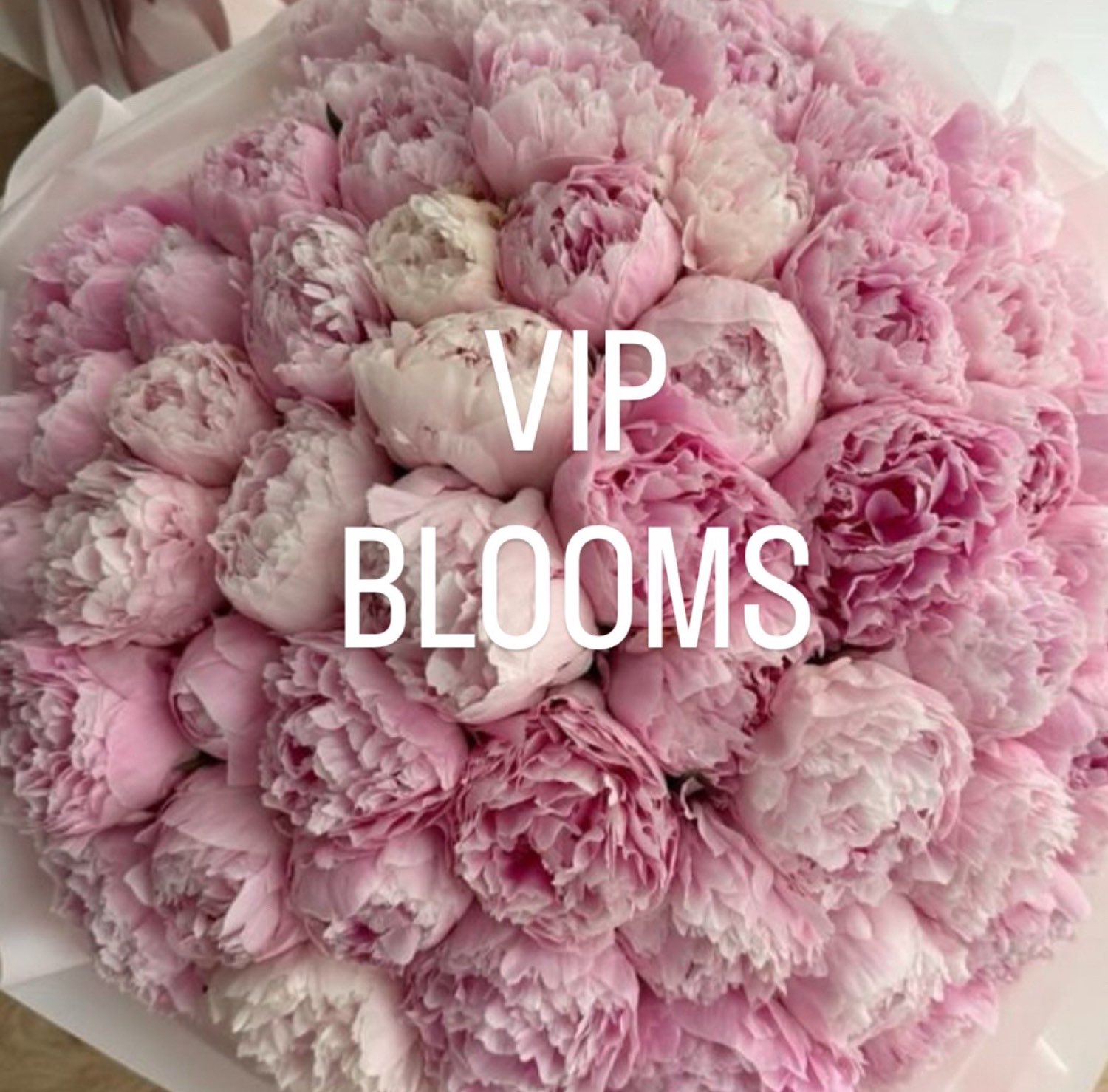 Imperial peonies, luxury floral arrangement by Dancing Orchid, North London florist