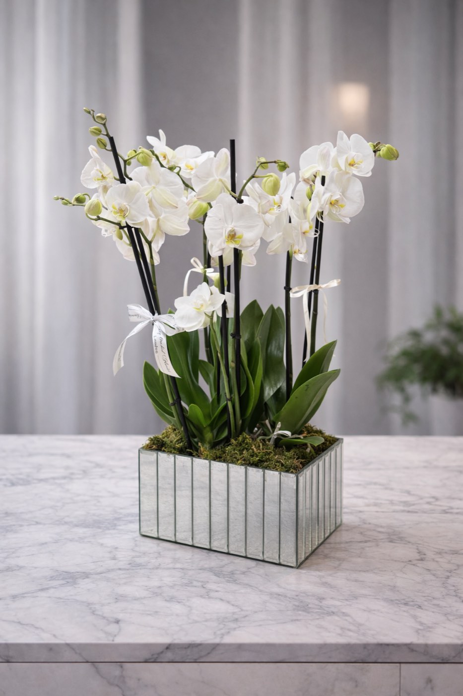 Mirror orchid, everlasting silk flower arrangement by Dancing Orchid, North London florist